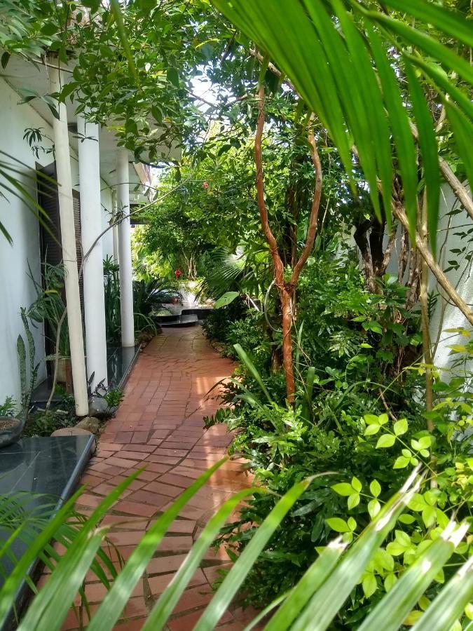 Guesthouse Mata Da Praia Vitória Exteriér fotografie