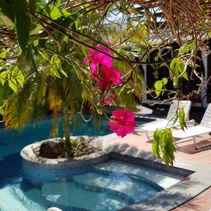 Guesthouse Mata Da Praia Vitória Exteriér fotografie